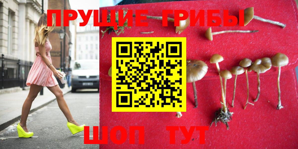 Жуковский  Галлюциногенные грибы GOLDEN TEACHER  Галлюциногенные грибы мицелий  Вход с VPN 