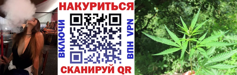 kraken как войти  Жуковский  Бошки Шишки сатива 